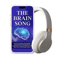 the-brain-song-programs